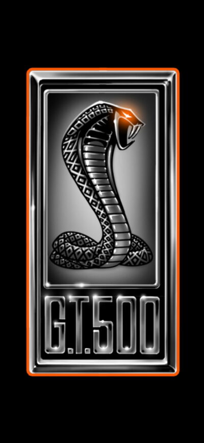 2025 PRE ORDER Hoodie Nate Sayler Racing Mustang